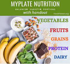 Nutrition Basics With Pdf Nutrition Nutrition Recipes Foods That Contain Protein