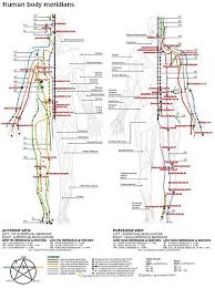 Has been added to your cart. Meridien En Medecine Traditionnelle Chinoise Wikipedia