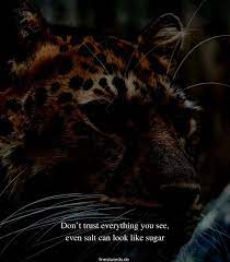 39 Englische Instagram Spruche Finestwords