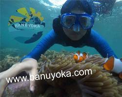 Gambar Terumbu karang Pulau Pahawang Lampung