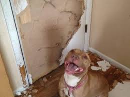 Outdoor wall décor home décor furniture rugs. Meko Ninimchedlishvili2010 Profile Pinterest