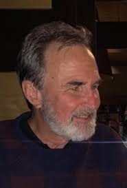 What is the problem with Mike Licona's view