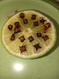Apakan tidak serangga seperti semut dan lalat bukan sahaja merosakkan makanan malah. Cucuk Cengkih Pada Limau Nipis Betul Betul Menjadi Petua Halau Lalat Ni Mingguan Wanita