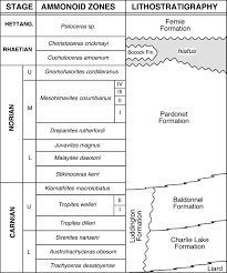 Late Triassic Bivalvia Chiefly Halobiidae And Monotidae