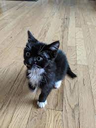 Maybe you would like to learn more about one of these? Pet Veterinary Clinic Home Facebook