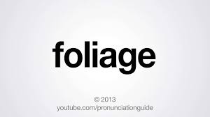 Learn how to pronounce foliage in english correctly with pronunciation and definition ☆ learn2pronounce.com ☆ create. How To Pronounce Foliage Youtube