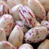 Soak them overnight in plenty of salted water, then drain before cooking. 1