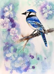 Check spelling or type a new query. Blue Jay Bird Painting By Hilda Vandergriff