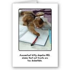 Accountant Kitty Greeting Card Zazzle Com Accounting Humor Accounting Jokes Tax Deductions