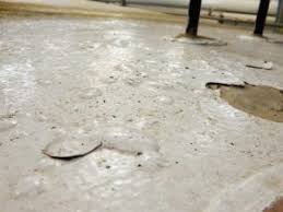 An rv roof coating is designed in such a way that it can protect and beautify your rv roof. Rolled On Rv Roof Coatings Rv Roof Flexarmor