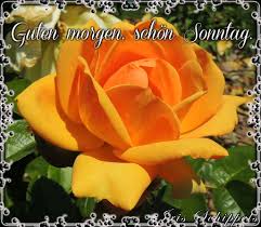 Guten Morgen Schon Sonntag Schonen Sonntag Guten Morgen Sonntag