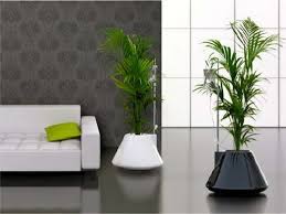 Fioriere da interno, disponibili nei materiali più esclusivi e nelle finiture più moderne. Vasi E Fioriere Da Interno Foto Design Mag