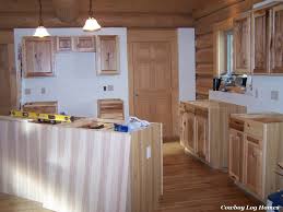 kitchen cabinets and counter tops