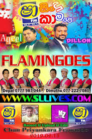 Sinhala top hits nonstop || 2019 new shaa fm sindu kamare best nonstop || 2019 new sinhala nonstop. Shaa Fm Sindu Kamare With Ahungalla Flamingoes 2019 02 15 Www Sllives Com
