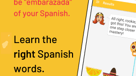 Learn russian from 61 native languages, for free & offline, with funeasylearn. Vocabulary Miner Brilliantly Simple Flashcards