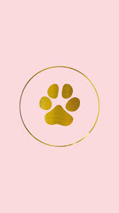 First and foremost, it prevents the fish from jumping out. Pink Gold Instagram Highlight Covers Jpg Rose Instagram Icons Girly Highlight Icons Pink Instagram Instagram Highlight Covers Pink Instagram Icons