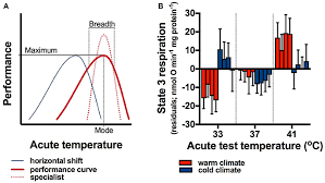 Endotherms (birds) are able to regulate their body temperatures by producing heat within the body. Frontiers Plasticity Of Performance Curves Can Buffer Reaction Rates From Body Temperature Variation In Active Endotherms Physiology