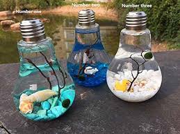 Newdreamworld Marimo Terrarium Kit Miniature Underwater Aquarium Lightbulb Terrarium With Moss Ball Sto Diy Light Bulb Light Bulb Crafts Light Bulb Terrarium