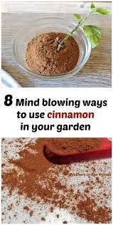 Maybe you would like to learn more about one of these? Pin On Gardening