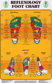 Foot Reflexology Chart Foot Reflexology Reflexology