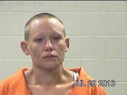 Ongoing Polk County drug investigation results in 3 arrests, seizure of  meth, stolen guns