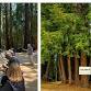 Redwood Grove Tasting with Dan & Molly Lokteff!