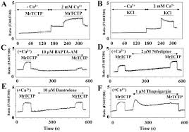 Live worksheets > english > english language > vocabulary > smiles 2 checkpoint 7 by lazzat bazarbayeva. Ijms October 2016 Browse Articles