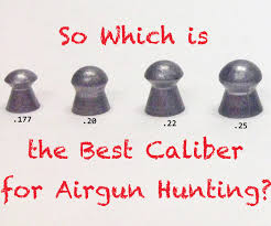 Which Is The Best Caliber For Airgun Hunting