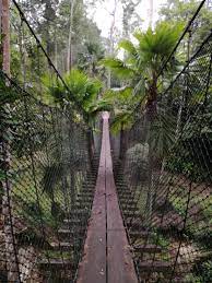 Taman botani shah alam bukit cerakah? National Botanic Gardens Shah Alam Wikiwand