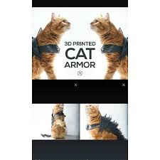 3d Yazdirilmis Kedi Zirhi Gladyator Kedi In 2020 Cat Armor Instagram Instagram Posts