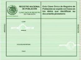 Para empezar lo primero es adquirir una api_key, actualmente (diciembre 2019) solamente vía correo electrónico otorgamos claves, es posible pedir una clave de prueba gratuita o adquirir un plan mensual que se ajuste a sus medidas (ver los paquetes y precios. Imprimir Curp Verde Curpyrfc Org Mx
