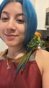 Lost Sun Conure ♂️ 📆 Date Lost：August 21, 2025 📍 Last Seen： Arroyo Grande  & Paseo Verde Henderson , Clark County, NV 89012 Contact 🪪 Amberly Nelson 