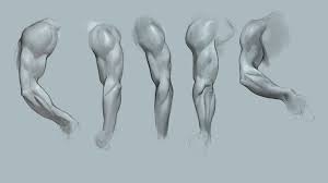 Maybe you would like to learn more about one of these? Noah Bradley V Twitter Working On Arm Anatomy Studies Trying To Strengthen Weak Points In My Art Skills From The Https T Co X43tenboxh Pack In Case You Re Curious Https T Co Ahdsrrtsgt