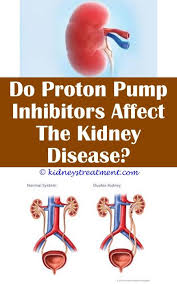 Pin On Kidney Disease Treatment