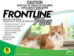 Flea Tick Spot On Cat Fleas Treatment Cat Fleas Frontline Plus For Cats