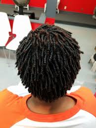 Comb Coils Natural Hair Natural Hair Twists Natural Hair Styles Twist Hairstyles