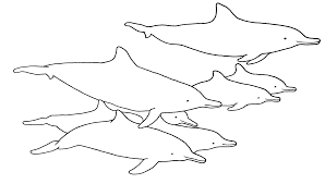 Si está buscando imágenes sobre dibujos para colorear de animales que respiran por la piel, está en el lugar correcto. Http Yaqupacha De Wp Content Uploads 2020 12 Viaje Al Lago De Maracaibo Final Pdf