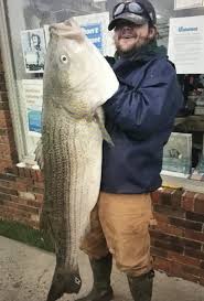 Huge Stripers Being Caught In Jersey