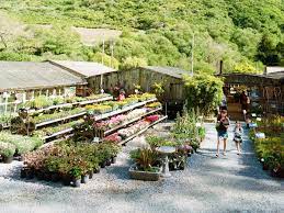 We are open seven days a week. Cheap Plant Hacks How To Get Tons Of Plants For Next To Nothing Sunset Sunset Magazine