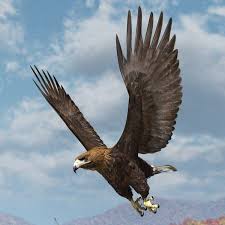 3d Model Golden Eagle In 2020 3d Model Golden Eagle Eagle
