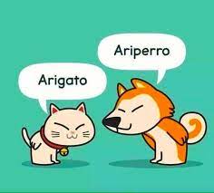 Ariperro Arnold Zwicky S Blog