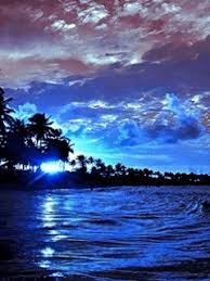 1920x1200 animated wallpaper gif download hd wallpapers. Gif Wallpaper 240x320 Page 1 Line 17qq Com