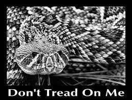 Black And White Diamond Pattern Snake Pin On Deeply Southern