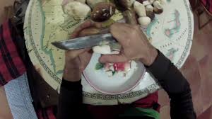 Recetas de boletus sencillas con producto fresco, limpio y en perfectas condiciones para su uso en la cocina. Como Limpiar Y Cortar Boletus Youtube