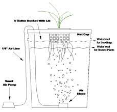 Maybe you would like to learn more about one of these? How To Start Indoor Growing Hydroponics For Beginners