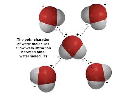 Water molecules forming hydrogen bonds(original source: Geology Cafe Com