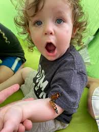 Playful Pioneers Preschool