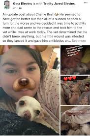 Cannon was a treat this morning.