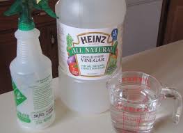 What Is The Vinegar To Water Ratio For Cleaning Hunker Vinegar And Water Cleaner Vinegar Cleaning Cleaning