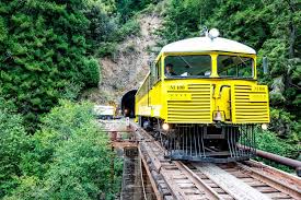 We did not find results for: Cwr S California Western Railroad M100 Railbus When She Was Yellow Hobo Laments